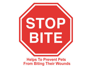 Stop Bite